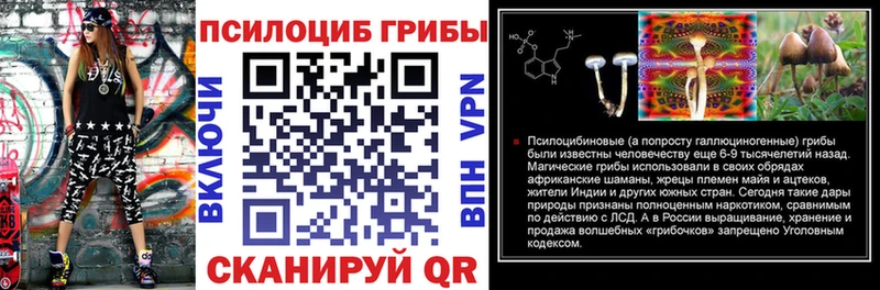 купить   omg онион  Псилоцибиновые грибы мицелий  Елизаветинская 